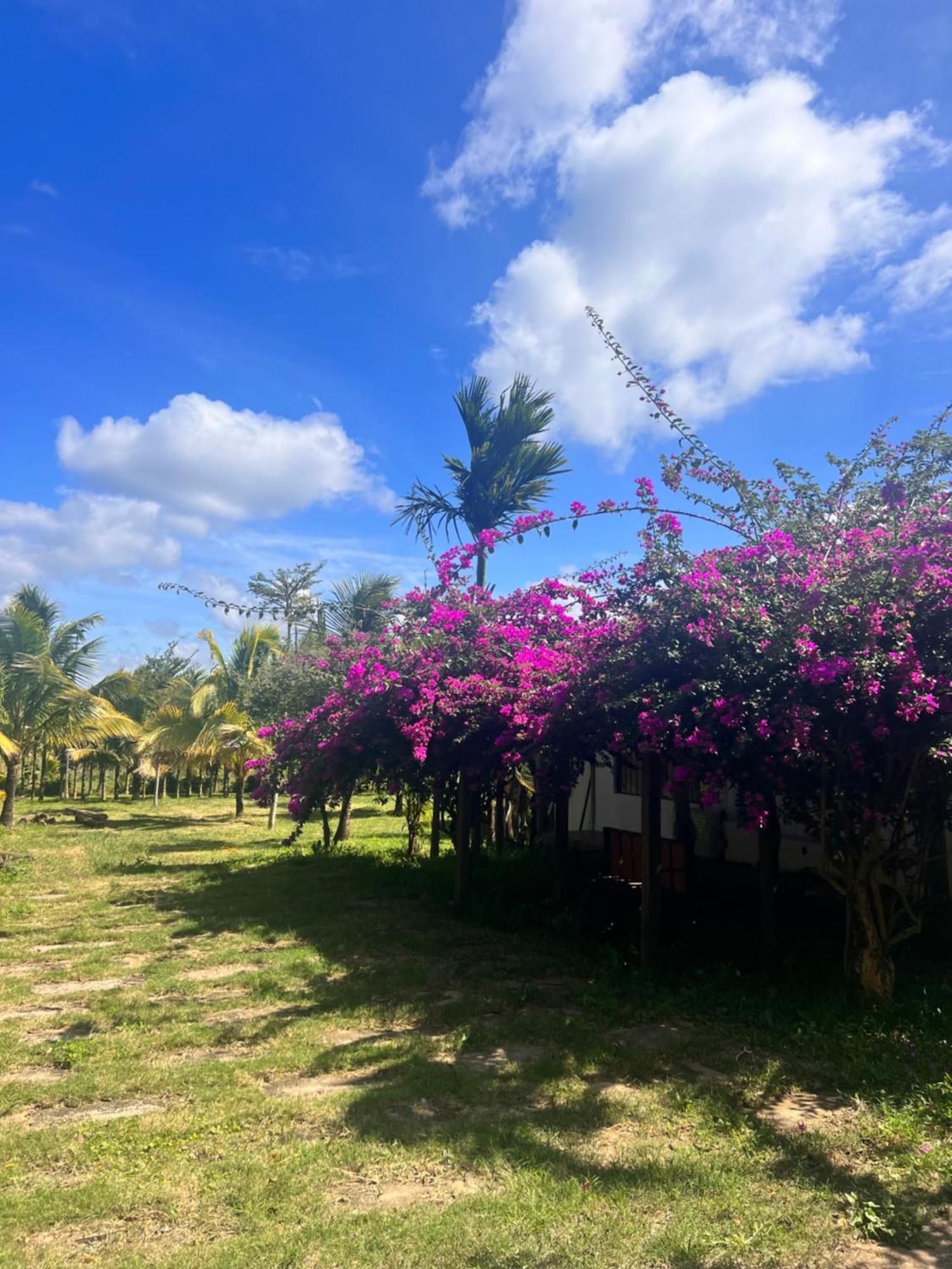 Komleo Farm Hotel Buon Ma Thuot Luaran gambar