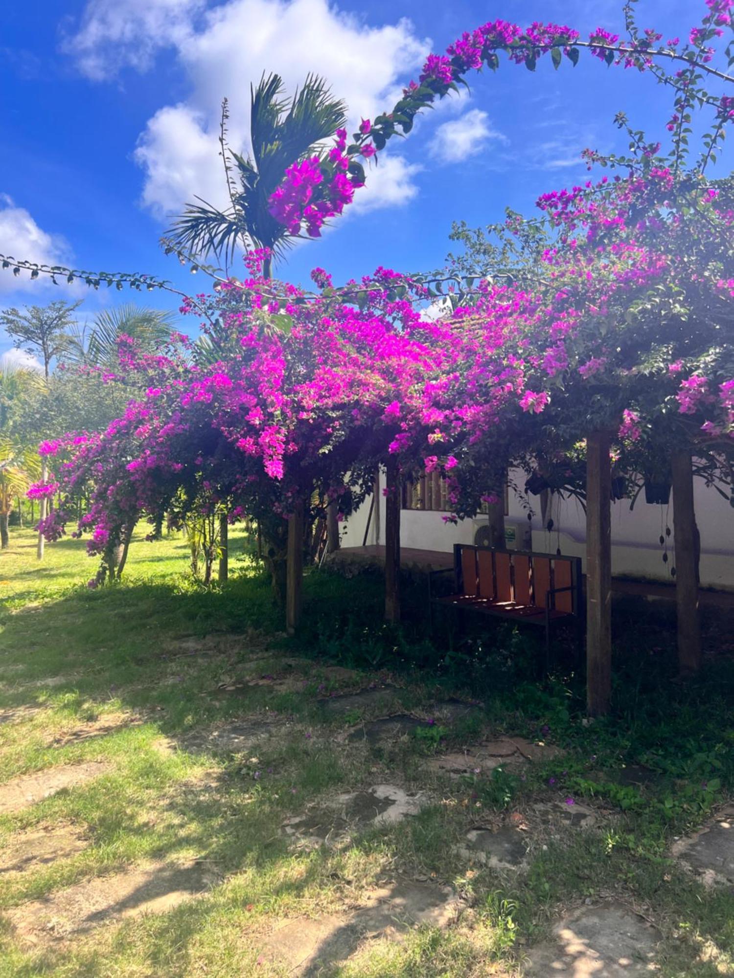 Komleo Farm Hotel Buon Ma Thuot Luaran gambar
